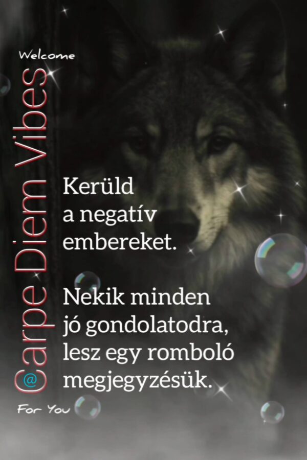 Hűtőmágnes #204