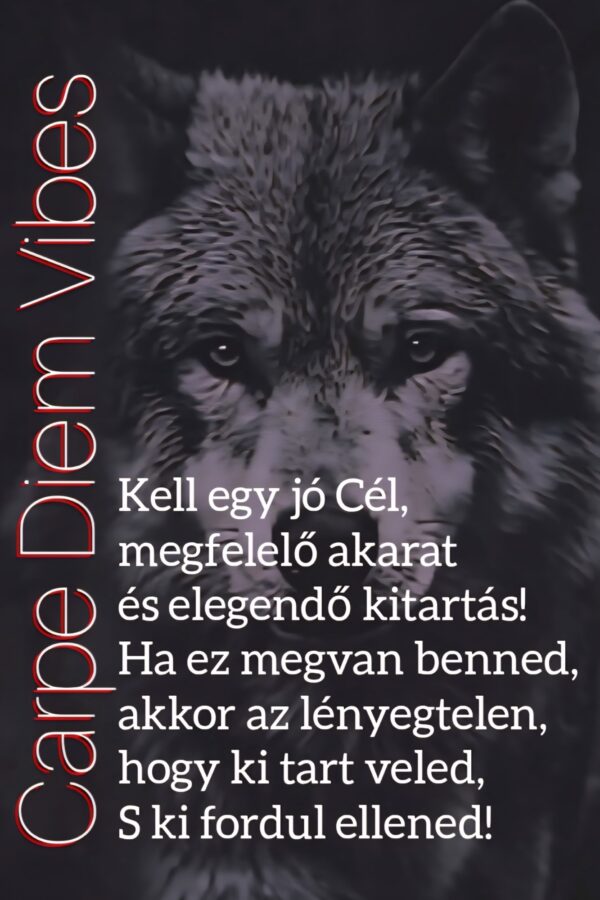 Hűtőmágnes #51